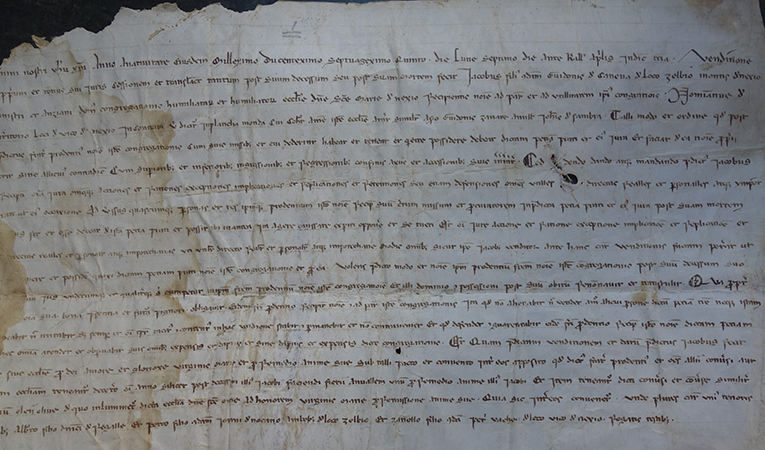 italiangenealogist-iuri-silvestri-03.png italiangenealogist-iuri-silvestri-03.png